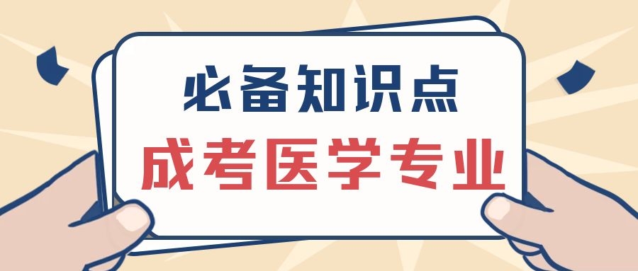 成考知識點