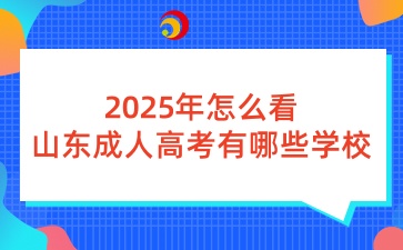 2025年怎么看山東成人高考有哪些學校可報
